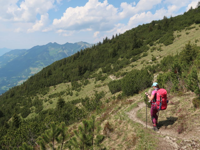 Ursa zwischen Hohem Fraßen und Fraßenhütte (8. Juni)