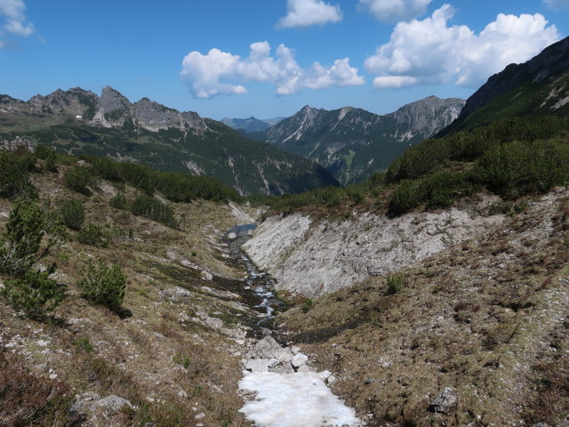 zwischen Faludrigaalpe und Schwarzer Furka (9. Juni)