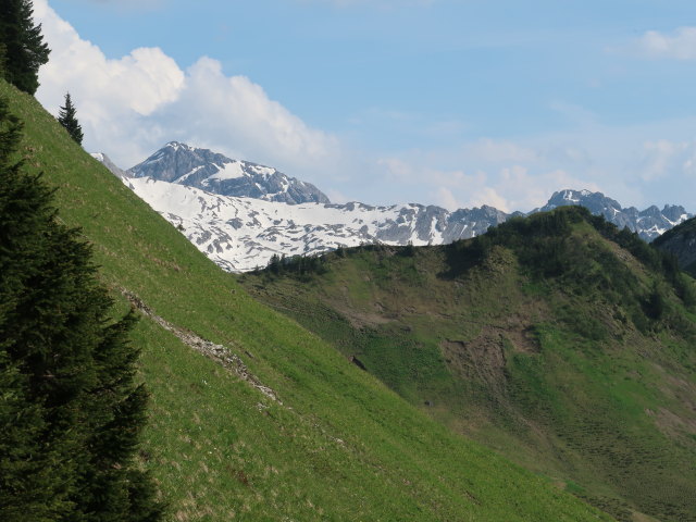 zwischen Oberpartnomalpe und Glattmar (9. Juni)