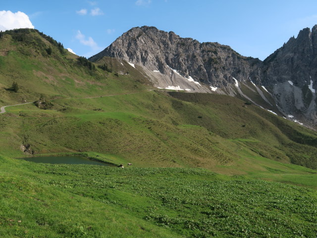 zwischen Laguzalpe und Breithornhütte (9. Juni)