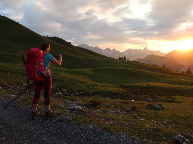 Ursa zwischen Oberpartnomalpe und S&auml;ttele (10. Juni)