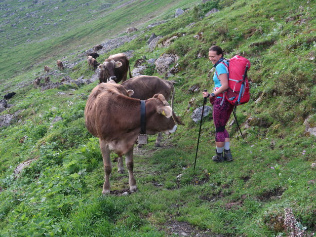 Ursa zwischen S&auml;ttele und Klesenzaalpe (10. Juni)