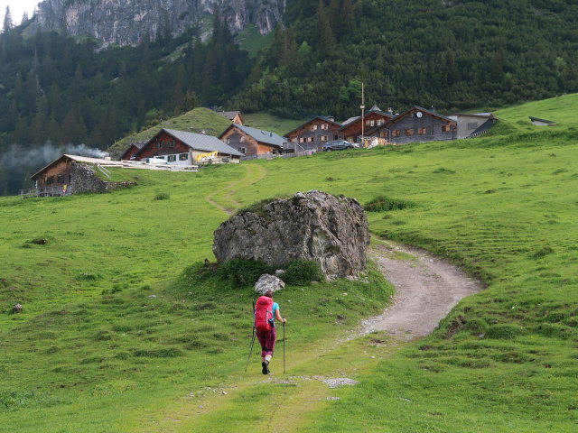 Ursa auf der Klesenzaalpe, 1.589 m (10. Juni)