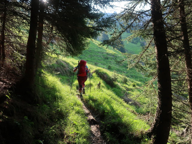 Ursa zwischen Rindereralpe und Wangalpe (10. Juni)