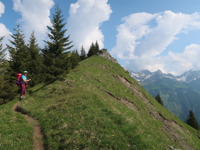 Ursa zwischen Wangalpe und Wangspitze (10. Juni)