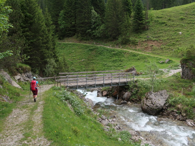 Ursa beim Madonabach (10. Juni)