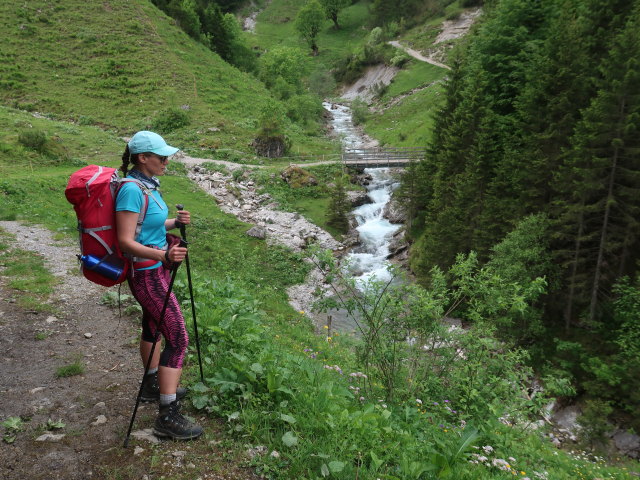 Ursa zwischen Madonabach und Gadenalpe (10. Juni)