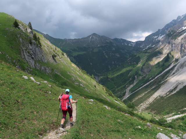 Ursa zwischen Oberer Alpschellaalpe und Metzgertobel (10. Juni)