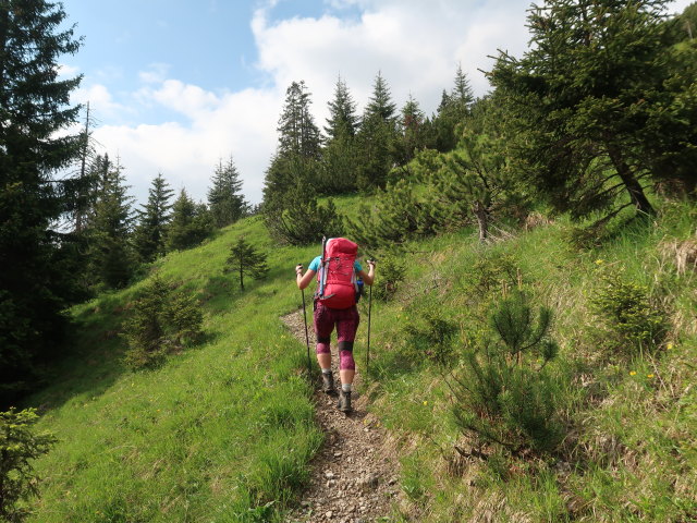 Ursa zwischen Metzgertobel und Lita (10. Juni)
