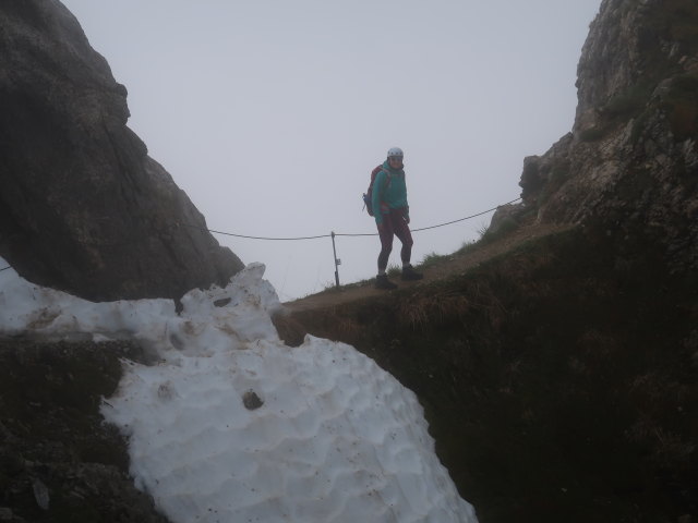 Ursa zwischen Hochkünzelspitze und Schadonapass (11. Juni)