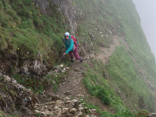 Ursa zwischen Hochk&uuml;nzelspitze und Schadonapass (11. Juni)