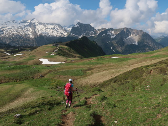 Ursa zwischen Hochk&uuml;nzelspitze und Schadonapass (11. Juni)