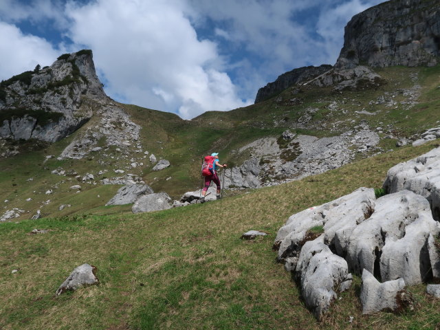 Ursa zwischen Oberer Ischkarneialpe und T&ouml;belejoch (11. Juni)