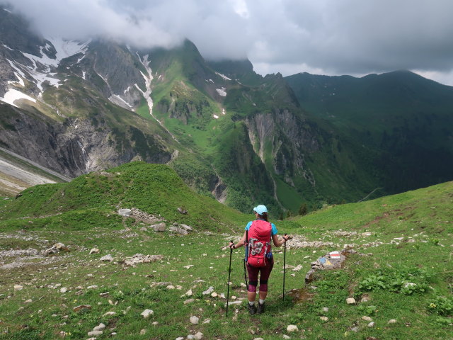 Ursa zwischen T&ouml;belejoch und T&ouml;belealpe (11. Juni)