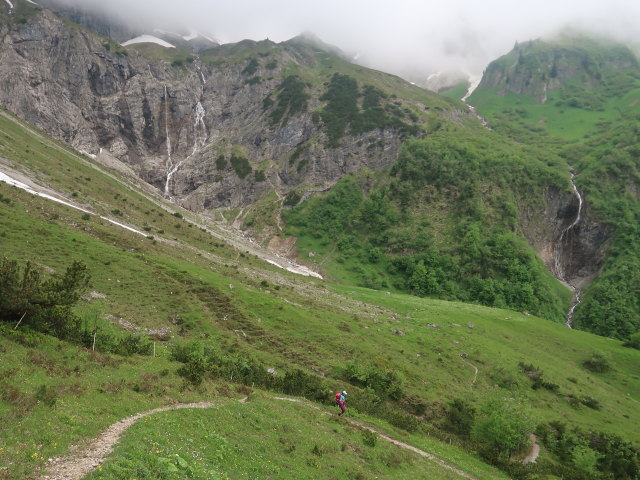 Ursa zwischen Töbelealpe und Annalperaualpe (11. Juni)