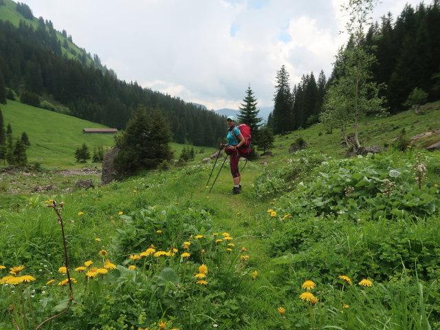 Ursa zwischen T&ouml;belealpe und Annalperaualpe (11. Juni)