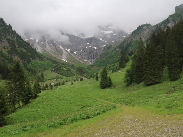 Ursa zwischen T&ouml;belealpe und Annalperaualpe (11. Juni)