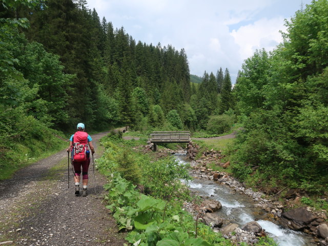 Ursa zwischen Annalperaualpe und Bergkristall-H&uuml;tte (11. Juni)
