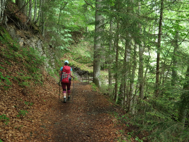 Ursa zwischen Bodenvors&auml;&szlig; und Bregenzerach (11. Juni)