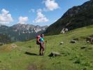 Ursa auf der Faludrigaalpe, 1.715 m (9. Juni)