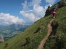 Ursa zwischen Wangalpe und Wangspitze (10. Juni)