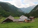 Gadenalpe, 1.317 m (10. Juni)