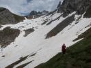 Ursa zwischen Muttawangjoch und Oberer Alpschellaalpe (10. Juni)