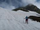 Ursa zwischen Hochkünzelspitze und Schadonapass (11. Juni)