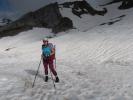 Ursa zwischen Hochkünzelspitze und Schadonapass (11. Juni)