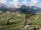 Ursa zwischen Hochkünzelspitze und Schadonapass (11. Juni)