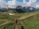 Ursa zwischen Hochkünzelspitze und Schadonapass (11. Juni)