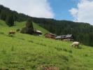 Bergkristall-Hütte (11. Juni)