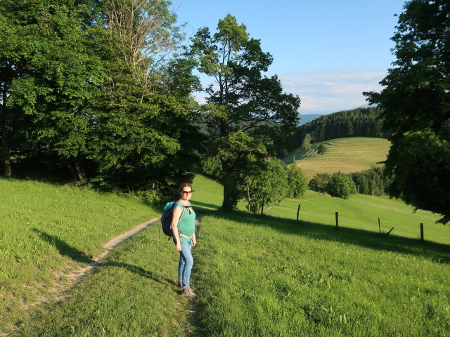 Sabine zwischen Blassenstein und Maderlehen