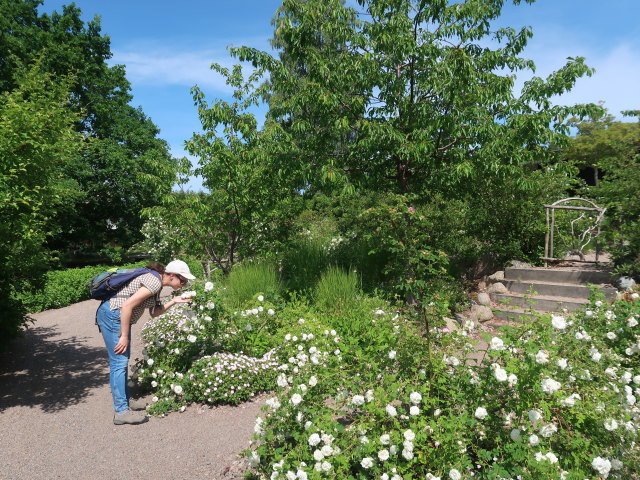 Sabine in Astrid Lindgrens Näs in Vimmerby (23. Juni)