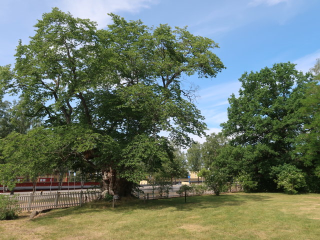 Astrid Lindgrens Näs in Vimmerby (23. Juni)