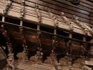 Vasamuseet in Stockholm (24. Juni)