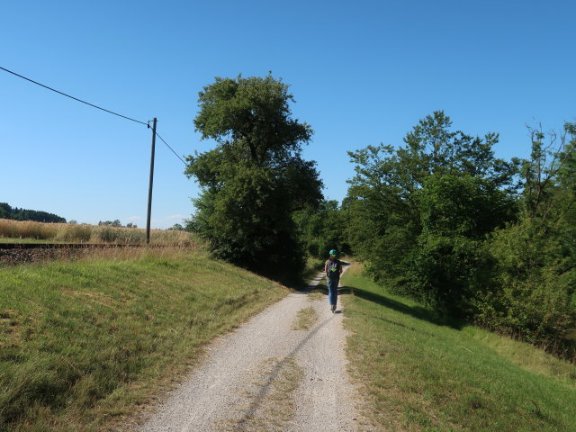 Sabine zwischen S&ouml;lling und Purgstall