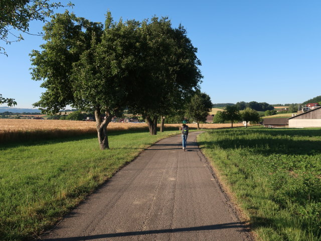 Sabine in Landfriedstetten