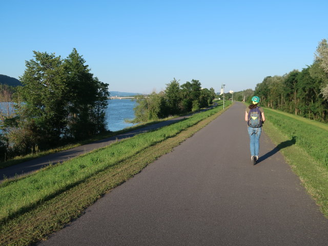 Sabine neben der Donau in P&ouml;chlarn