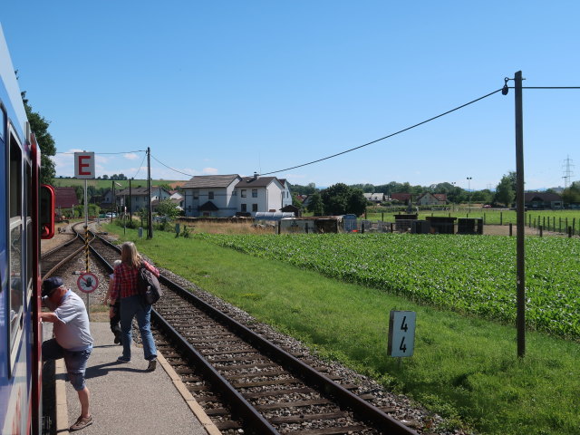 Bahnhof Erlauf, 223 m