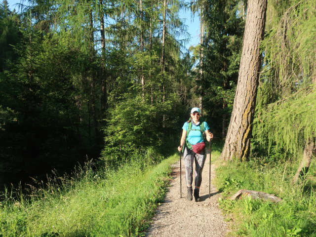 Ursa zwischen Toblach und Wahlen