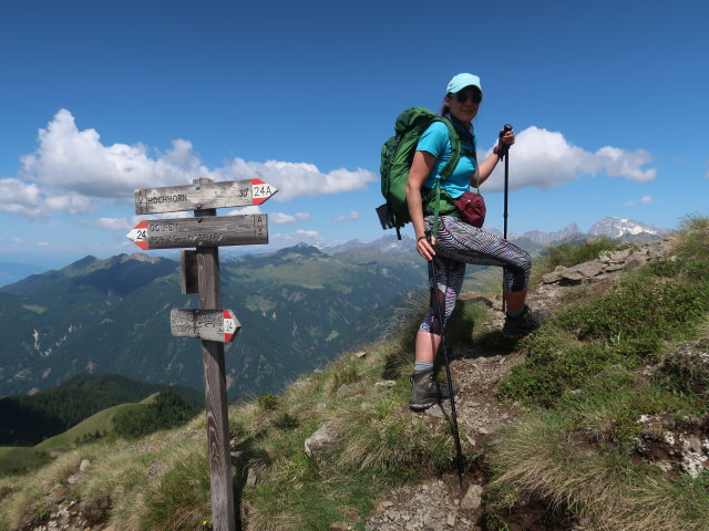 Ursa am Toblacher Höhenweg zwischen Golfen und Hochhorn