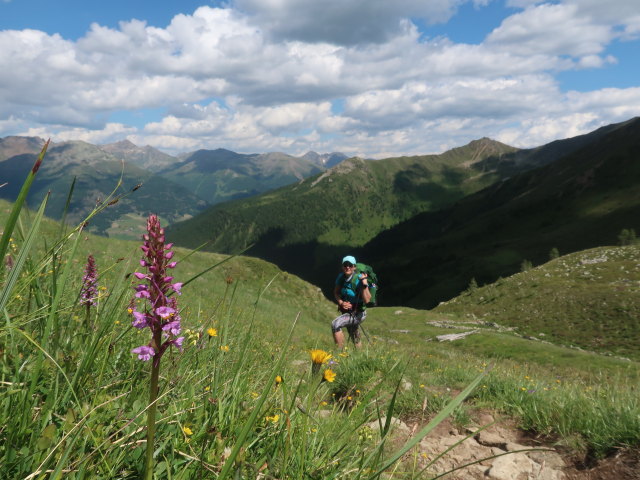 Ursa im Alfental zwischen Pfanntörl und Marchental