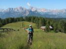 Ursa am Toblacher Höhenweg zwischen Stalper und Stacher Riedl