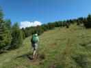 Ursa am Toblacher Höhenweg zwischen Stalper und Stacher Riedl