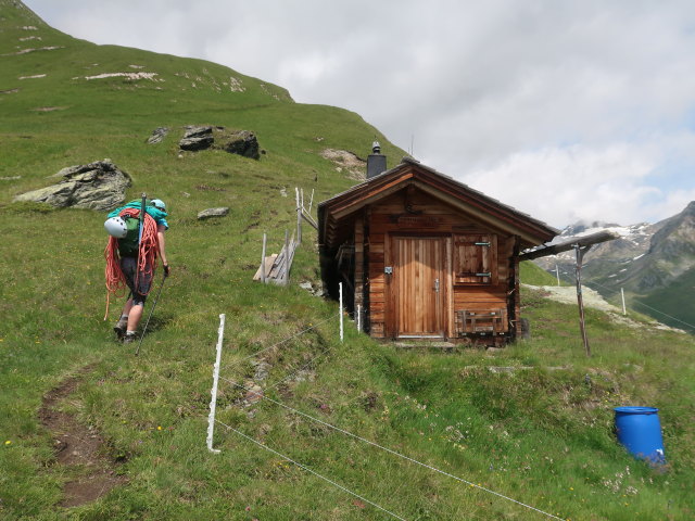 Ursa bei der Fensterh&uuml;tte, 2.400 m (14. Juli)