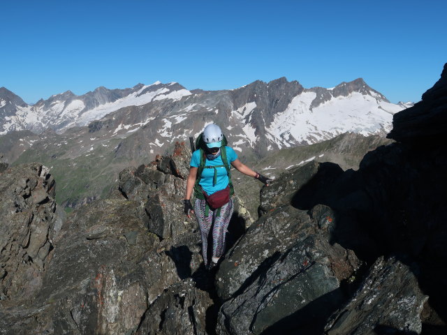 Ursa zwischen Wallhorntörl und Weißspitze (15. Juli)