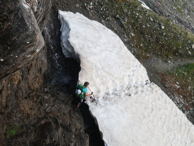 Ursa am Venediger Höhenweg zwischen Badener Hütte und Löbbentörl (16. Juli)