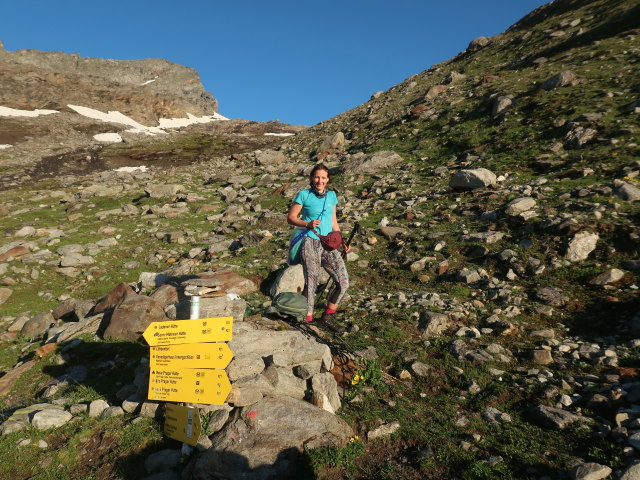 Ursa am Venediger Höhenweg zwischen Badener Hütte und Löbbentörl (16. Juli)