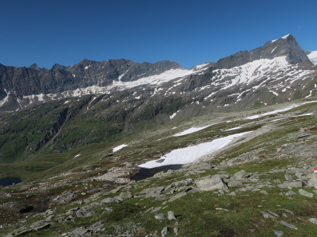 Zedlacher Ochsenalm vom Wildenkogelweg aus (16. Juli)